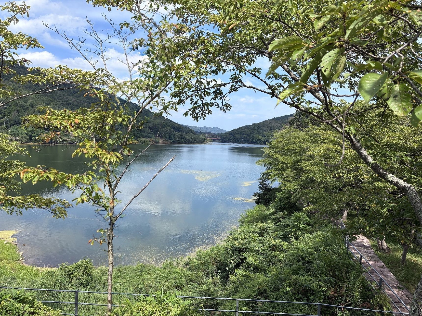 白竜湖ドライブ　水の風景はやっぱりいいね！