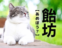 【飴坊】なんて読む？「あめぼう…？」ではありません【読めそうで読めない漢字クイズ】