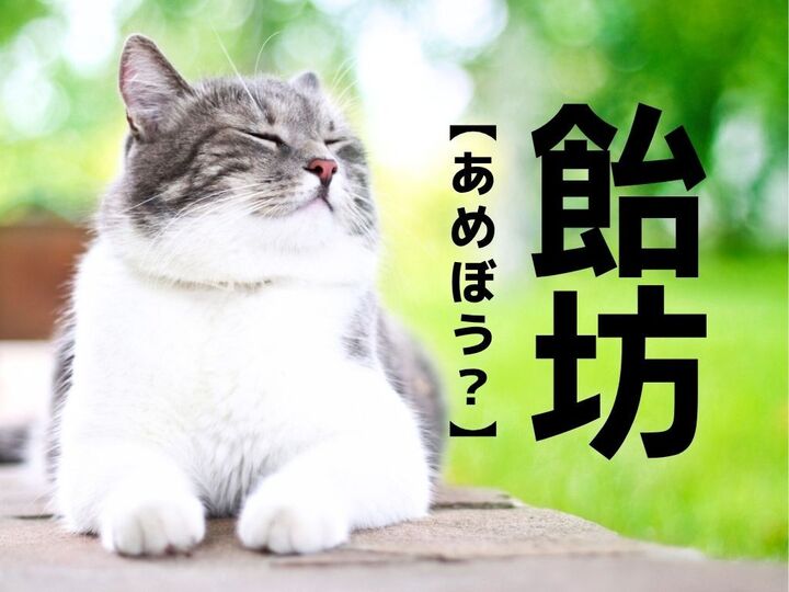 【飴坊】なんて読む?「あめぼう…?」ではありません【読めそうで読めない漢字クイズ】