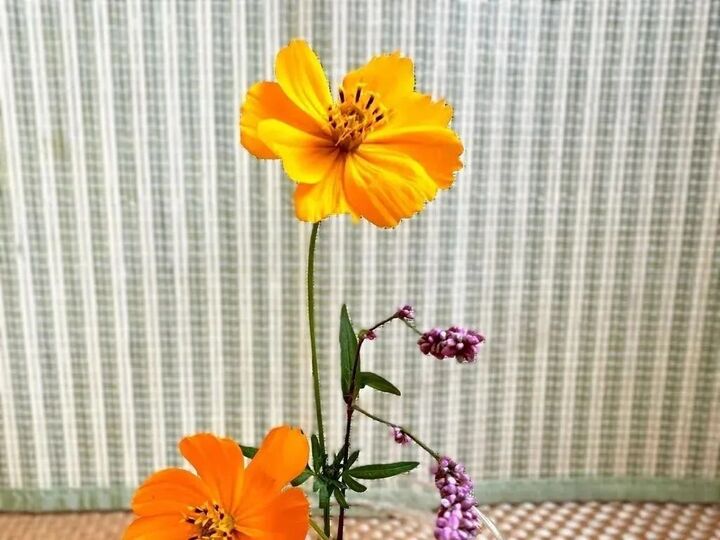 【少しだけのお花をキレイに飾る裏ワザ】家にあるモノを活用!お花がばらけません♪