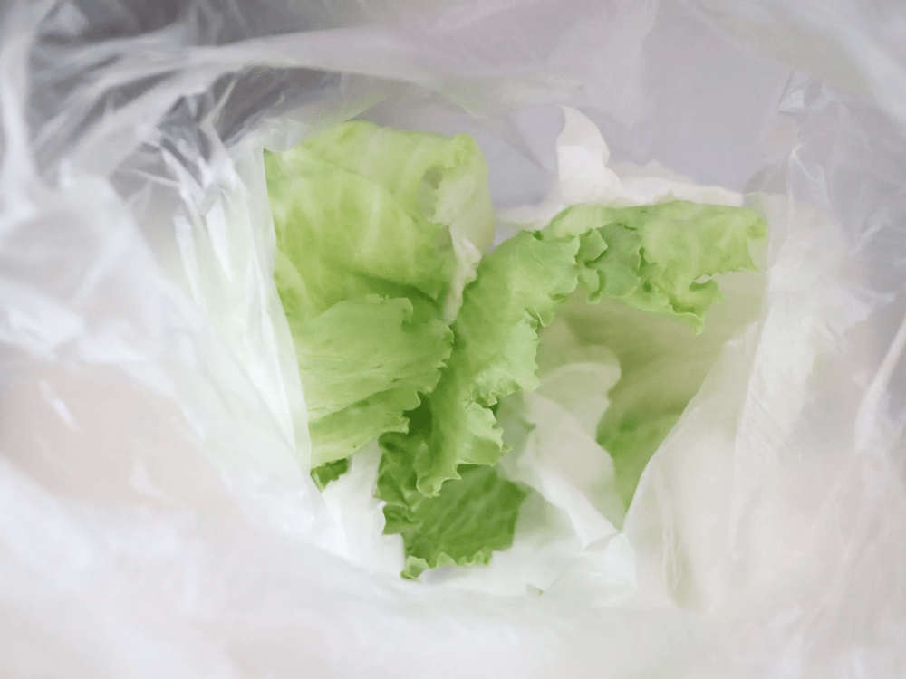 サラダスピナー級！ポリ袋で「野菜の水切り」やってみた！洗い物いらずでBBQでも使える