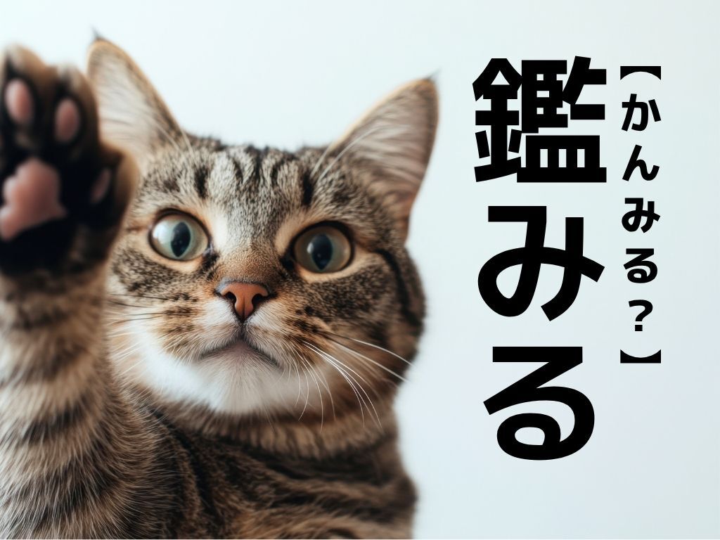【鑑みる】なんて読む？「かんみる…」ではありませんよ！【読めそうで読めない漢字クイズ】