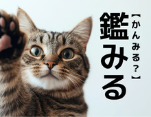 【鑑みる】なんて読む？「かんみる…」ではありませんよ！【読めそうで読めない漢字クイズ】