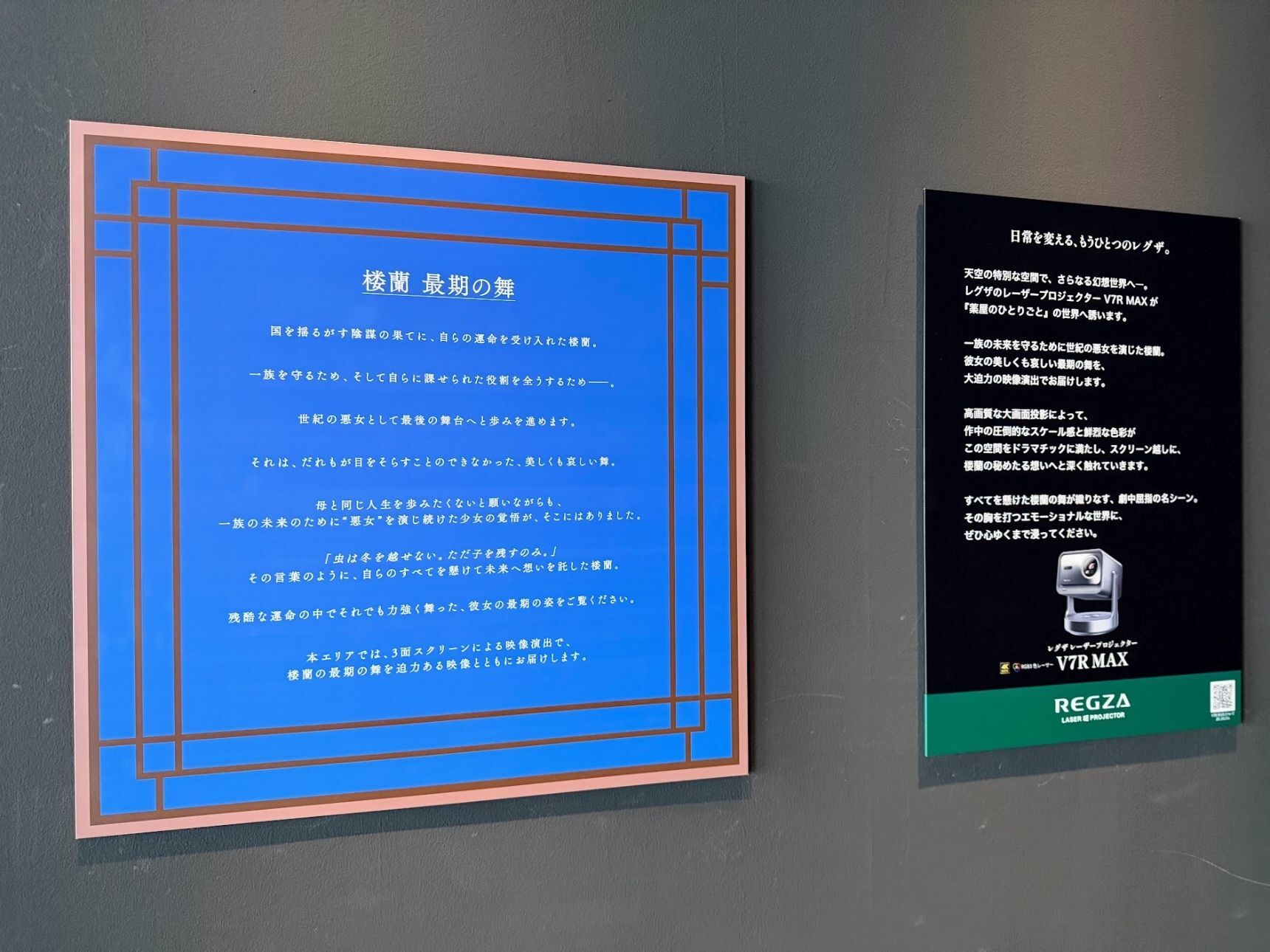 圧倒的な映像体験に感動が止まらない！