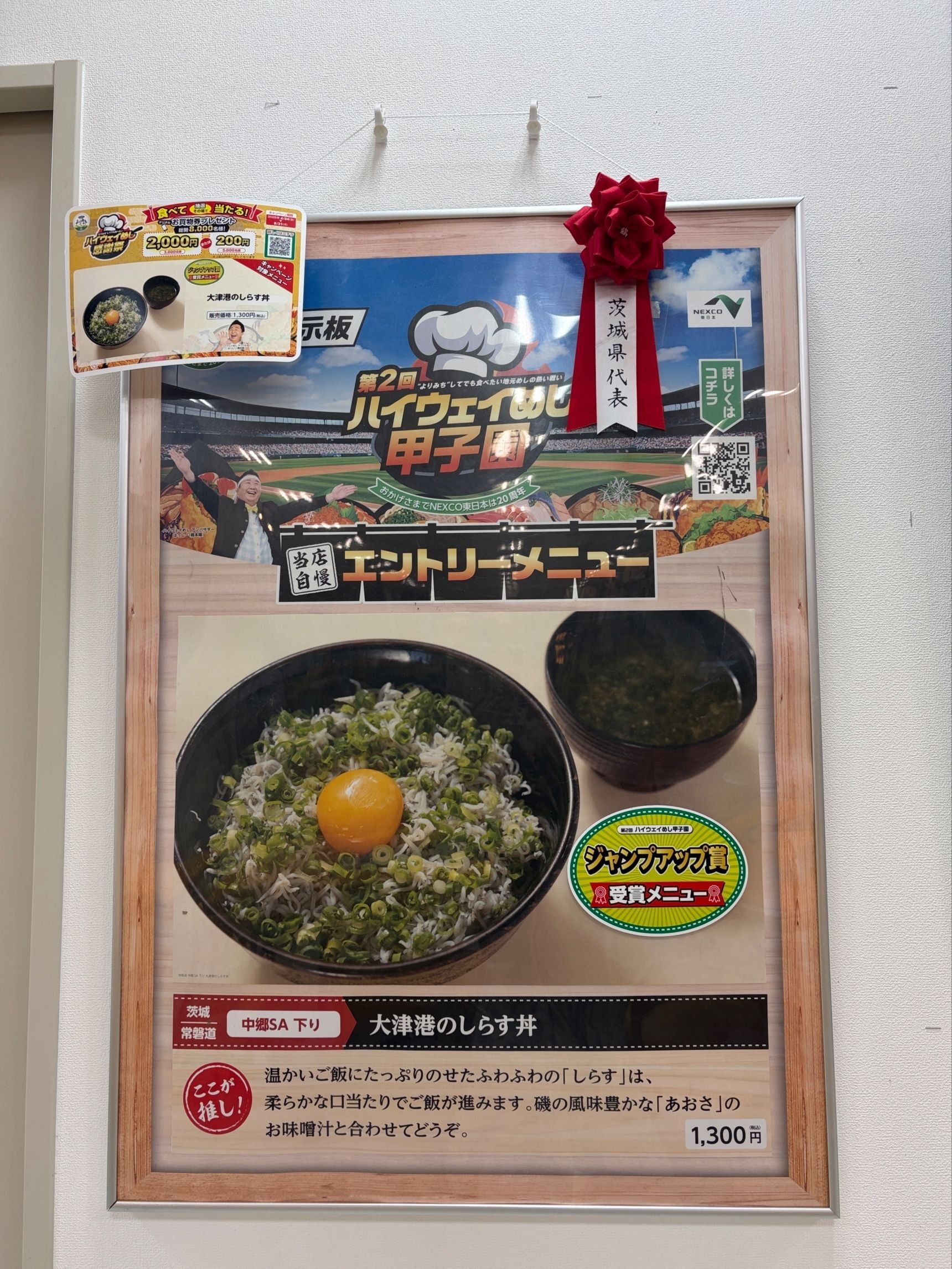 太鼓判！意外・美味しいしらす丼が食べたい時はまさかのここ！