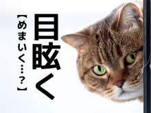 【目眩く】なんて読む？「めまい」＋「く」でまさかの読み方に！【読めそうで読めない漢字クイズ】