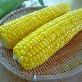 下準備