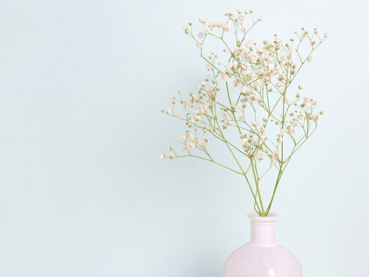 8月18日(火)今日は今月最後の一粒万倍日!さらにやっておくと幸運度がアップする行動は?