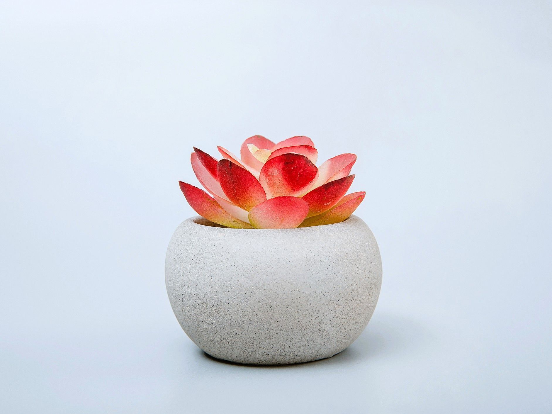 8月23日（日）今日は人との関わりに注意する日。とくに気をつけておきたい行動とは？