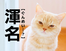 【渾名】なんて読む？「ぐんめい」ではありません。実は小学生でも知っているあの言葉！ 【漢字クイズ】