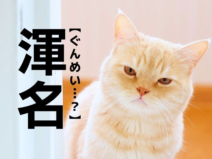 【渾名】なんて読む?「ぐんめい」ではありません。実は小学生でも知っているあの言葉! 【漢字クイズ】