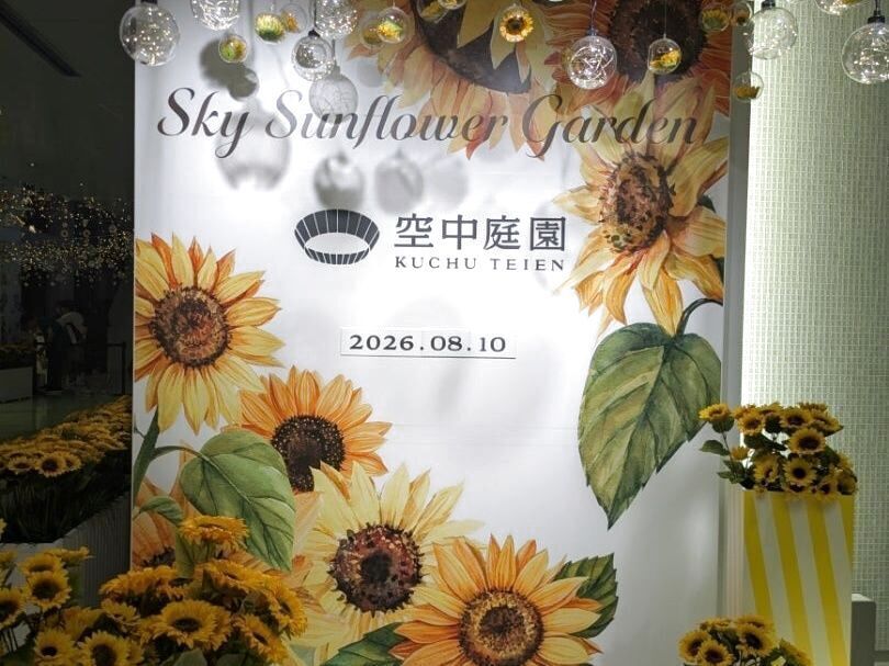 40Fこの夏だけのひまわり畑が登場！