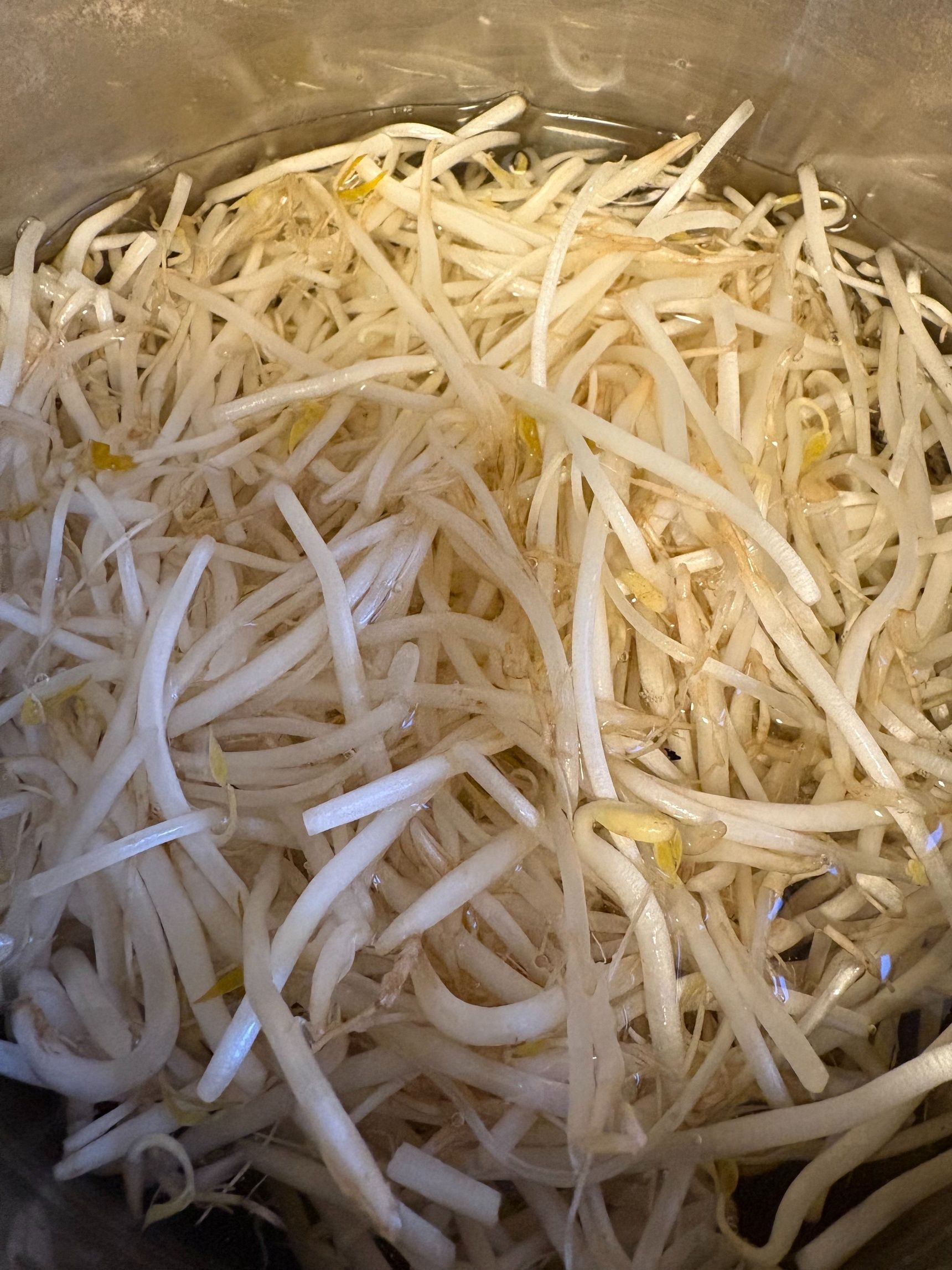 モヤシは必ず水から入れて茹でてください。