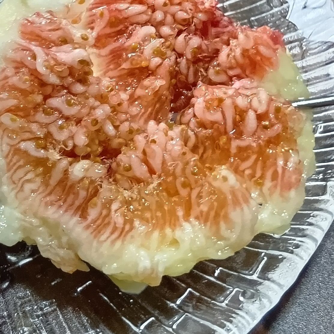 食べきれる量を購入するのがいいかも！