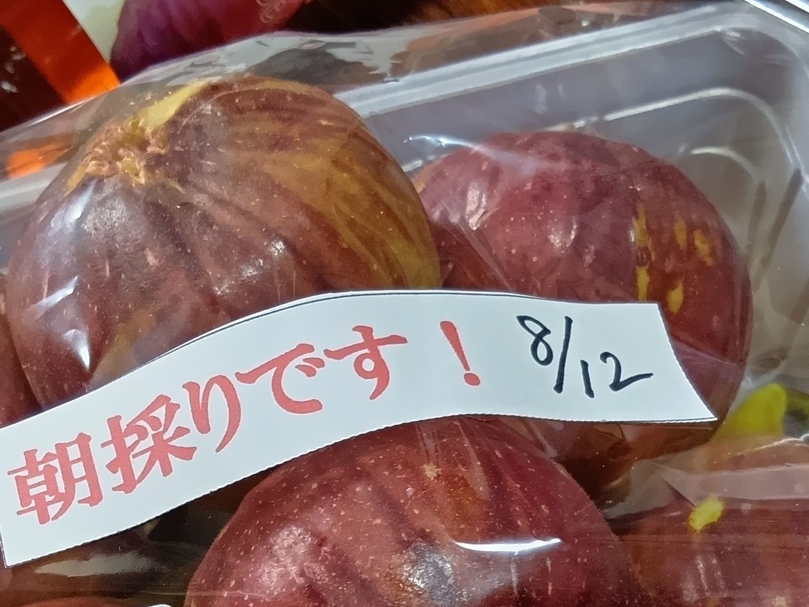 イチジクの目利きポイントその①  朝採りを狙うべし！！！