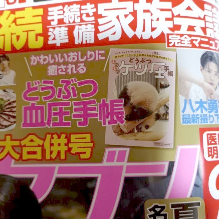 動物のおしりが表紙の"血圧手帳"が付いていたので買いました