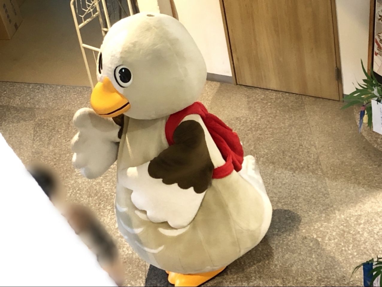 大崎市公式キャラクター「パタ崎さん」に出会えるかも！？