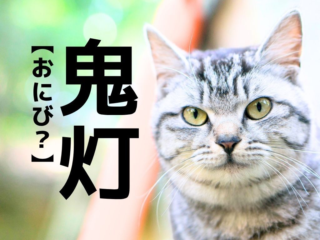 【鬼灯】なんてよむ？「おにび」ではありませんよ【読めそうで読めない漢字クイズ】