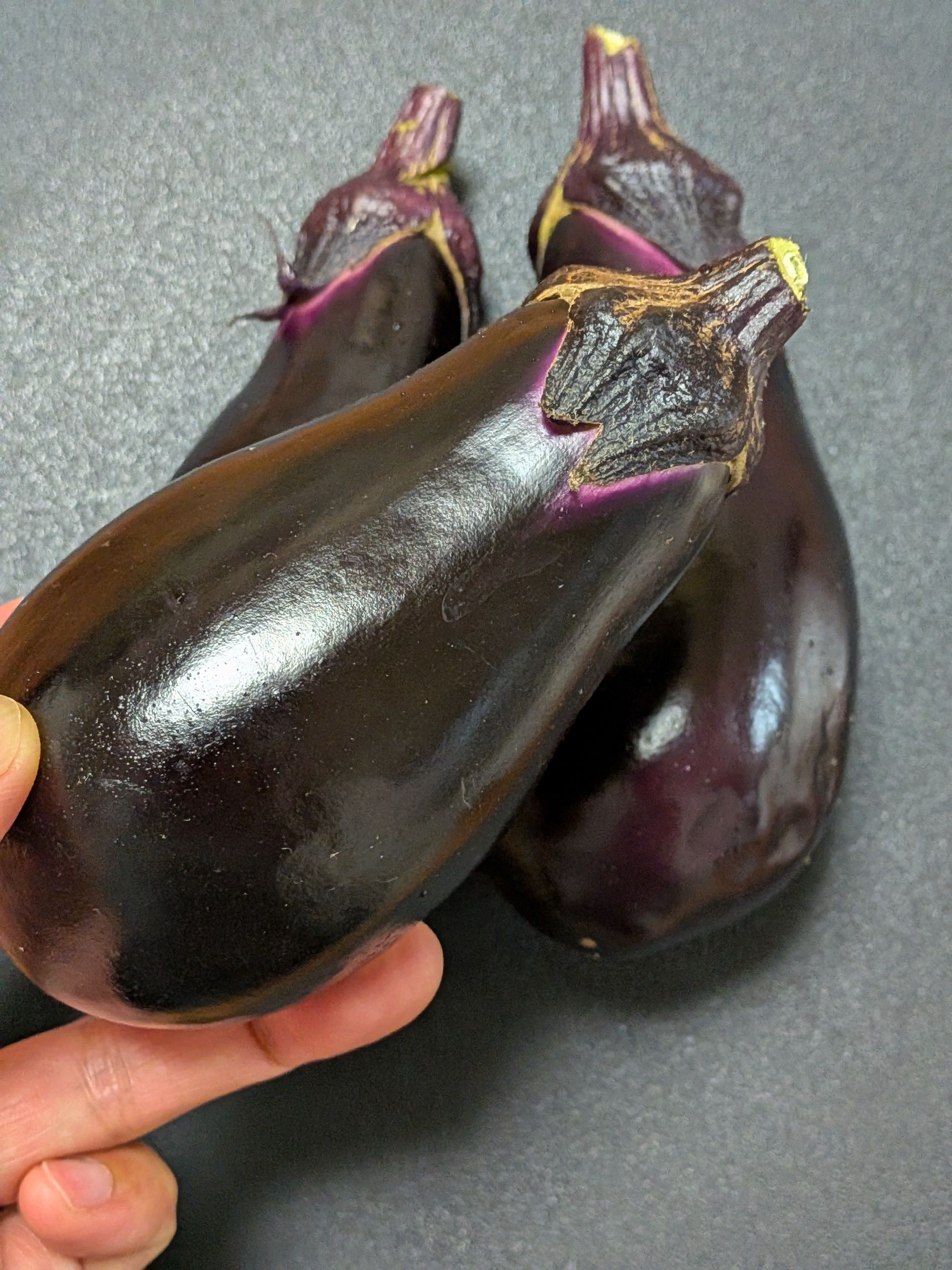 【朝どれ野菜】新鮮な茄子の見分け方