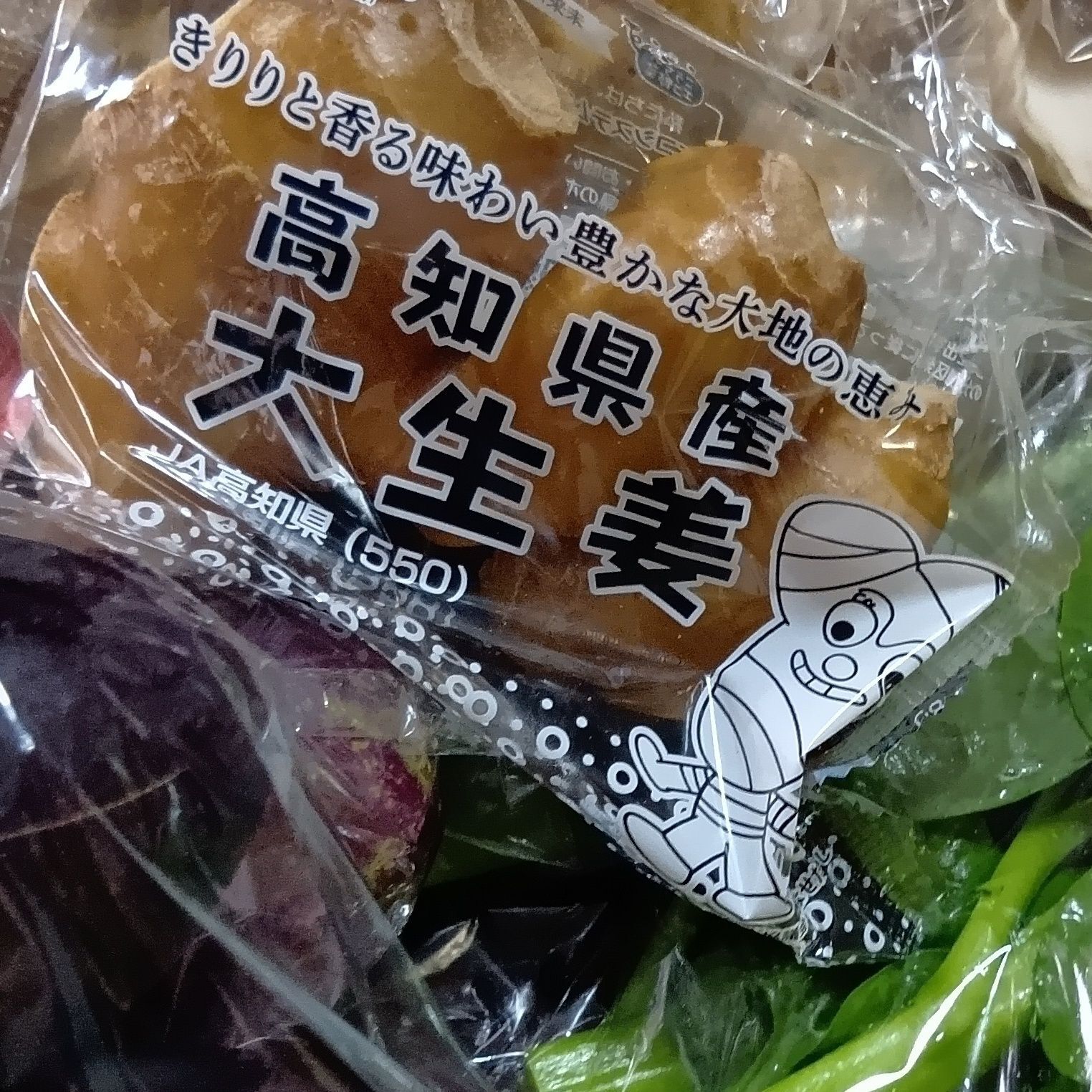 その中で、夏と言えば生姜！！！ということで、  今回は、高知県産の大生姜もかごの中へ！