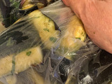 昆布茶でナスを漬けてみた！