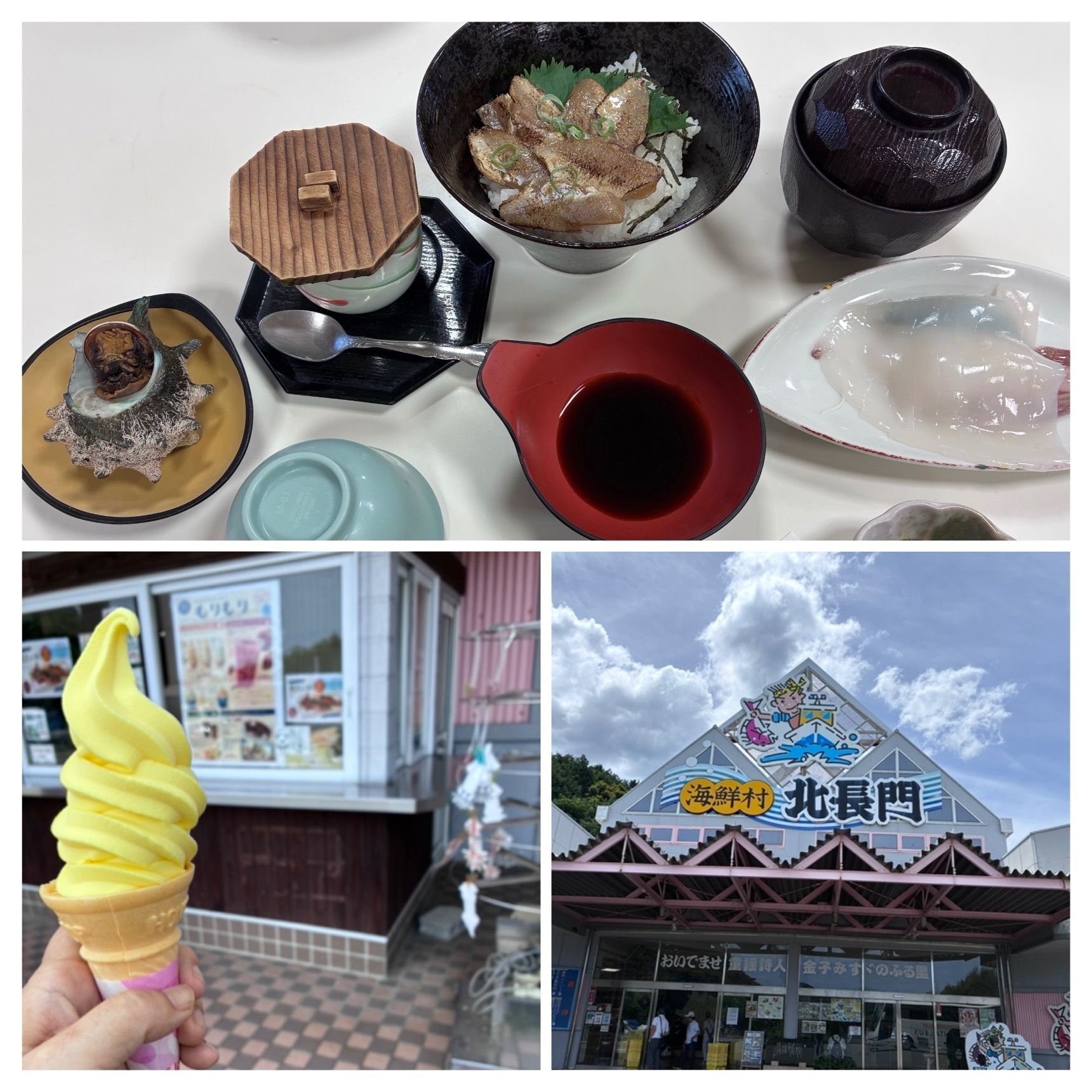 新鮮なイカ！お刺身！