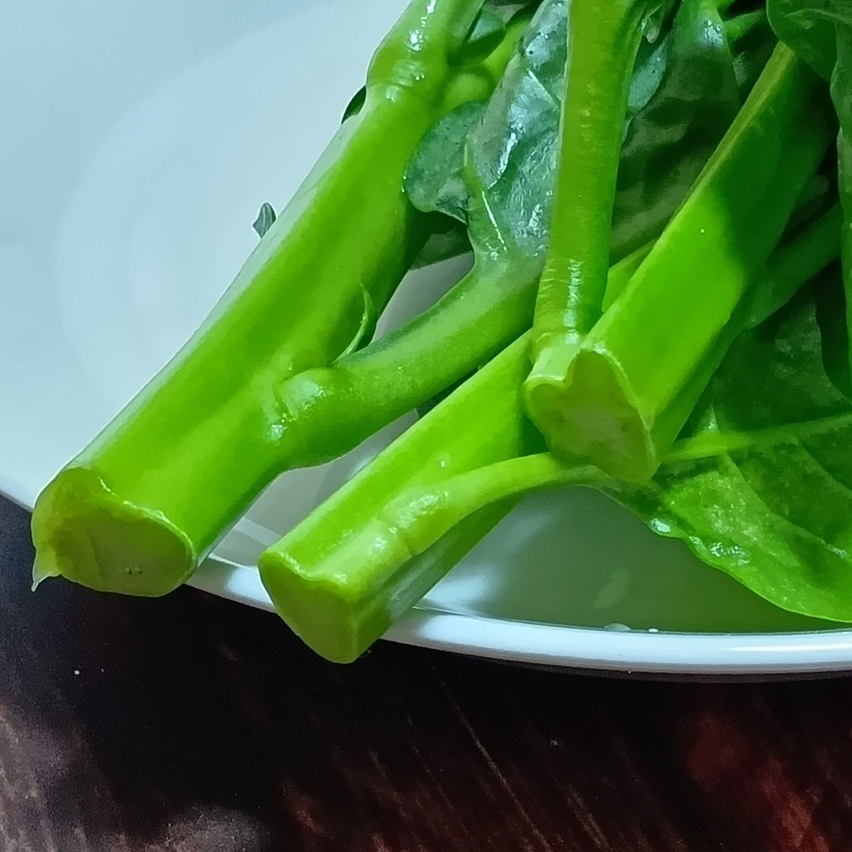 次に見たいのが茎。茎がしっかりしていて、みずみずしいものを選びます。持ったときに全体がシャキッとしているものが新鮮な目安です。