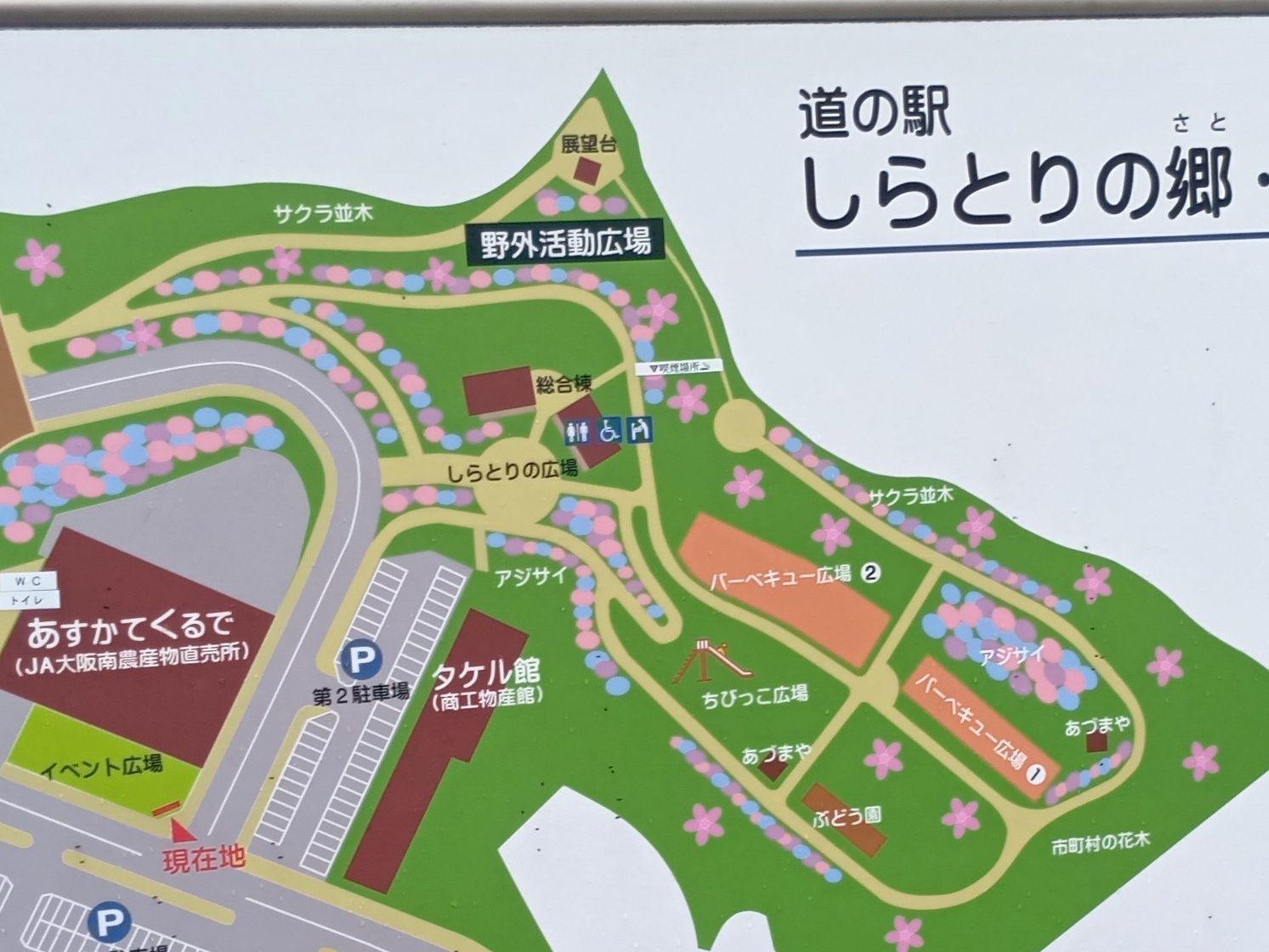 でねっ！→エリンギをリクエストした子どもが、道の駅で買ってきた「あわび茸」に大感動！