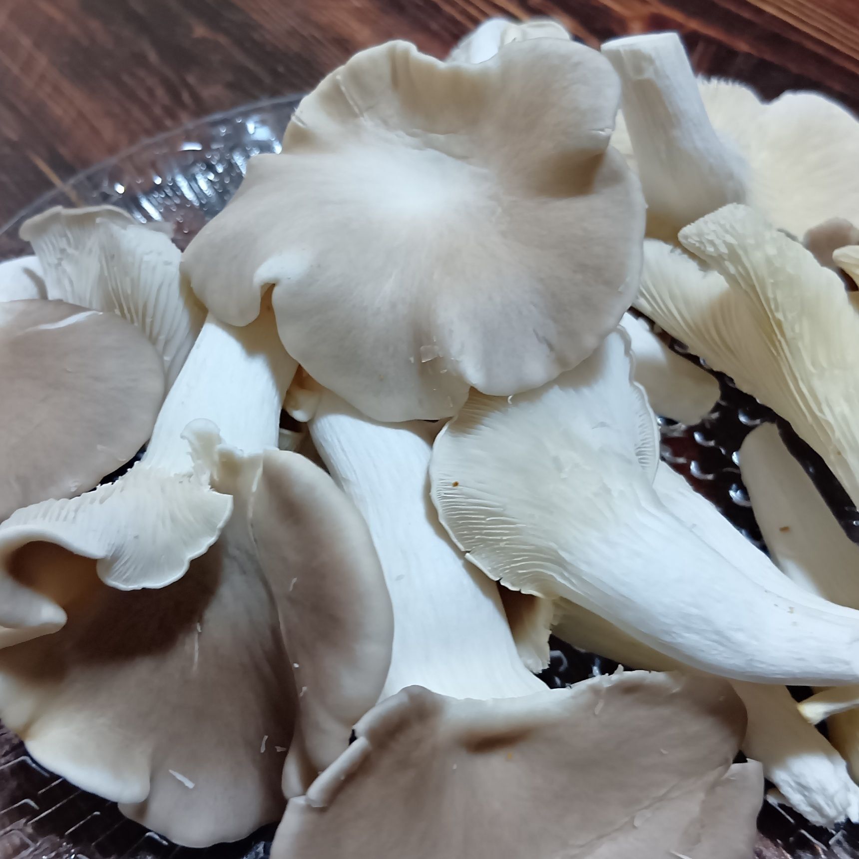 エリンギとは見た目こそ違いますが、どちらもコリコリとした食感が魅力のきのこ。お勧めですよっ！