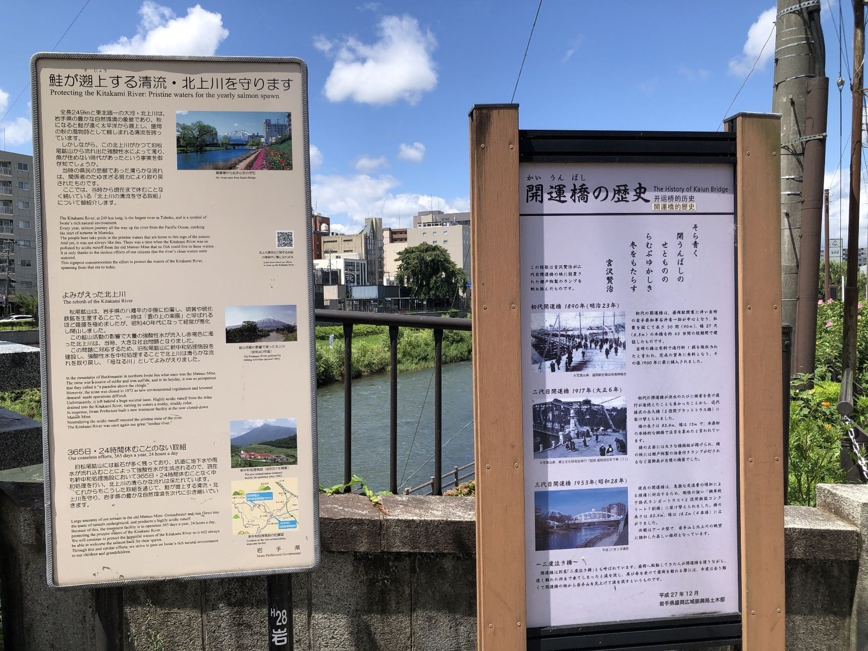 北上川は鮭が遡上する清流