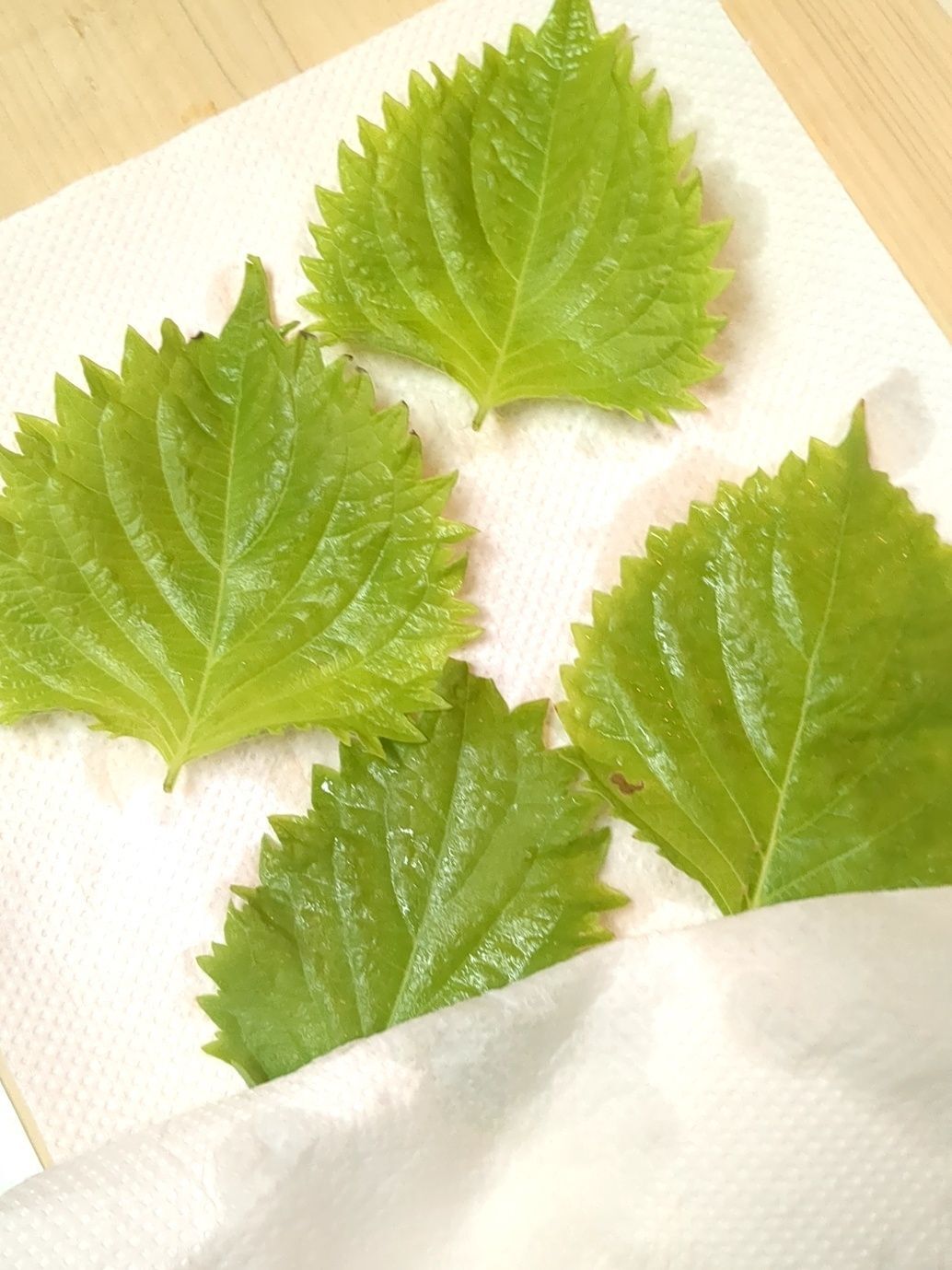 収穫してきました。