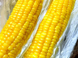 「美味しい」とうもろこしの選び方