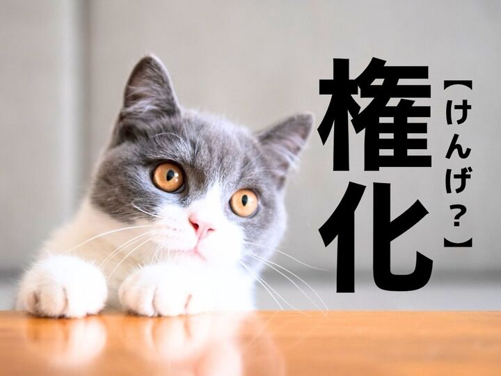 【権化】なんてよむ?「けんげ」ではありません【読めそうで読めない漢字クイズ】