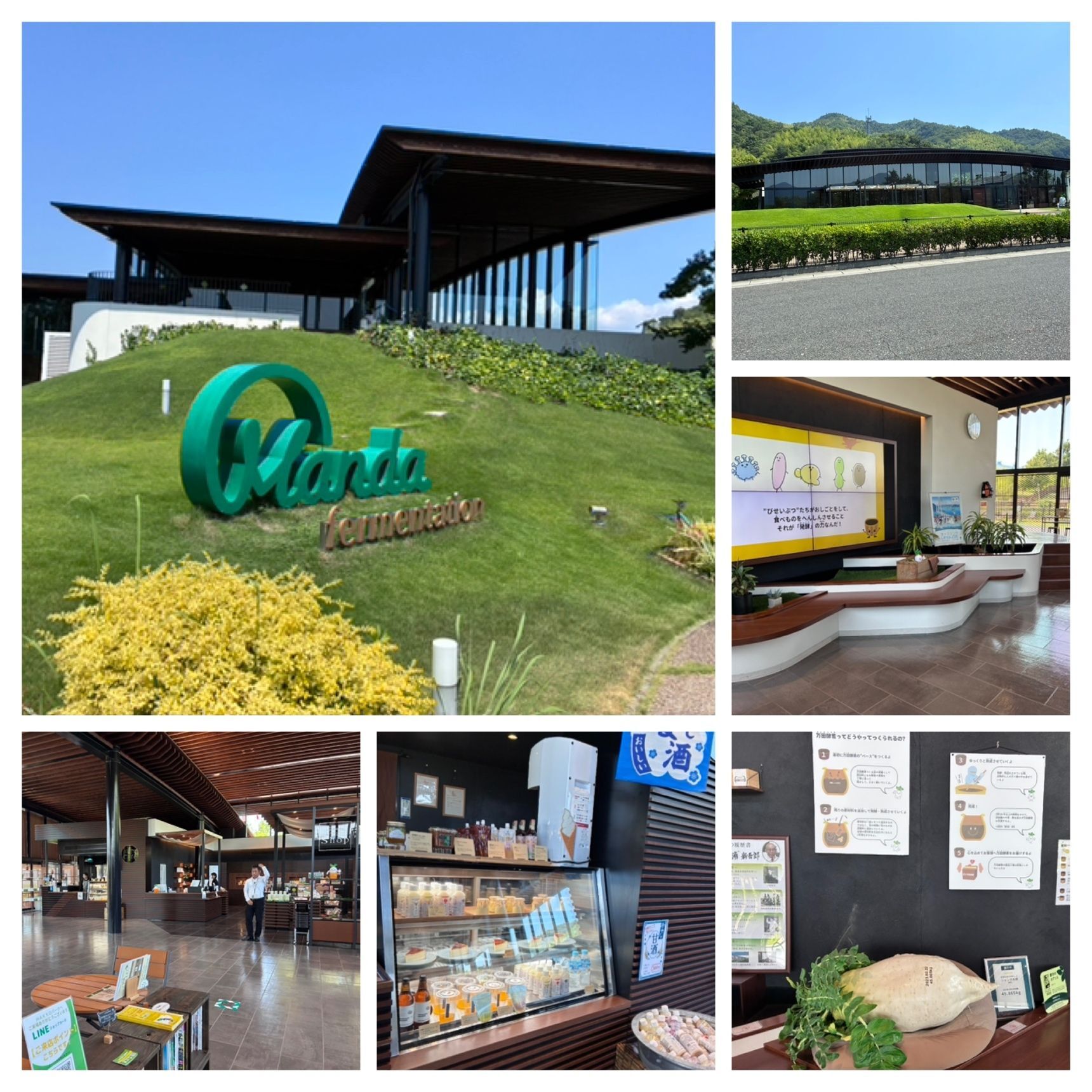 MandaHakkoPark