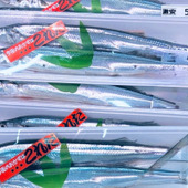 8月に生サンマがスーパーに並んでいたので「早くない？」と思って調べてみたら…【天然魚考】