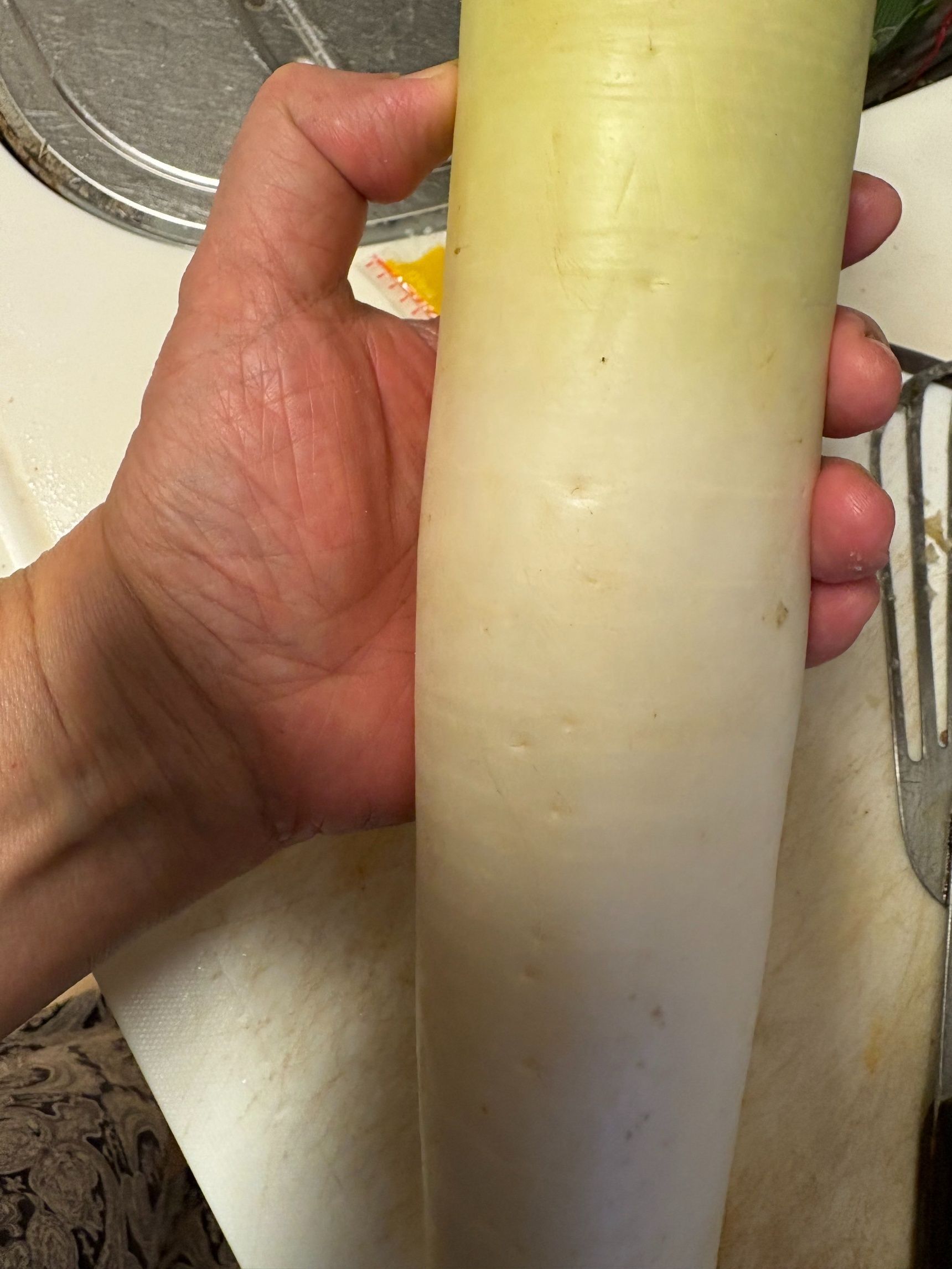 大根って表面にぽつぽつがあるの、分かりますか？