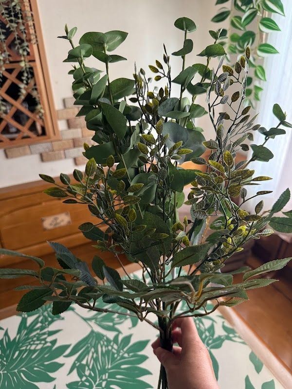 毎日の暮らしに彩りと植物を！