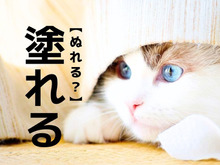 【塗れる】を「ぬれる」と読んだら…ああ勘違い！意外な読み方があるんです 【漢字クイズ】