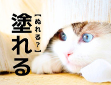 【塗れる】を「ぬれる」と読んだら…ああ勘違い！意外な読み方があるんです 【漢字クイズ】