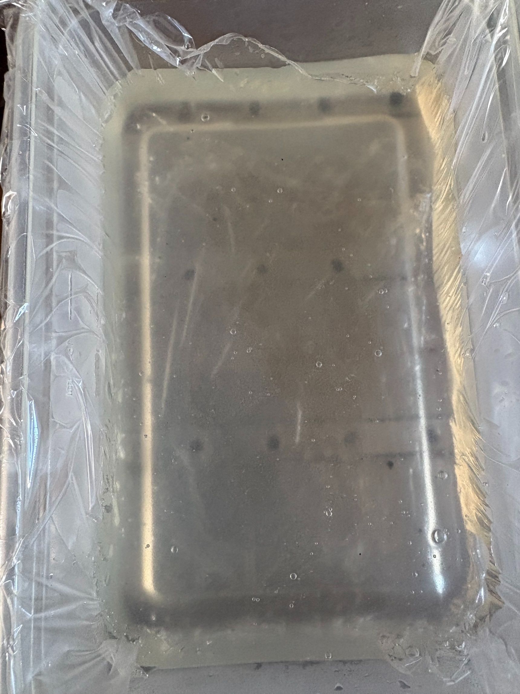 保存容器に入れて粗熱が取れてから冷蔵庫で冷やし固めました。
