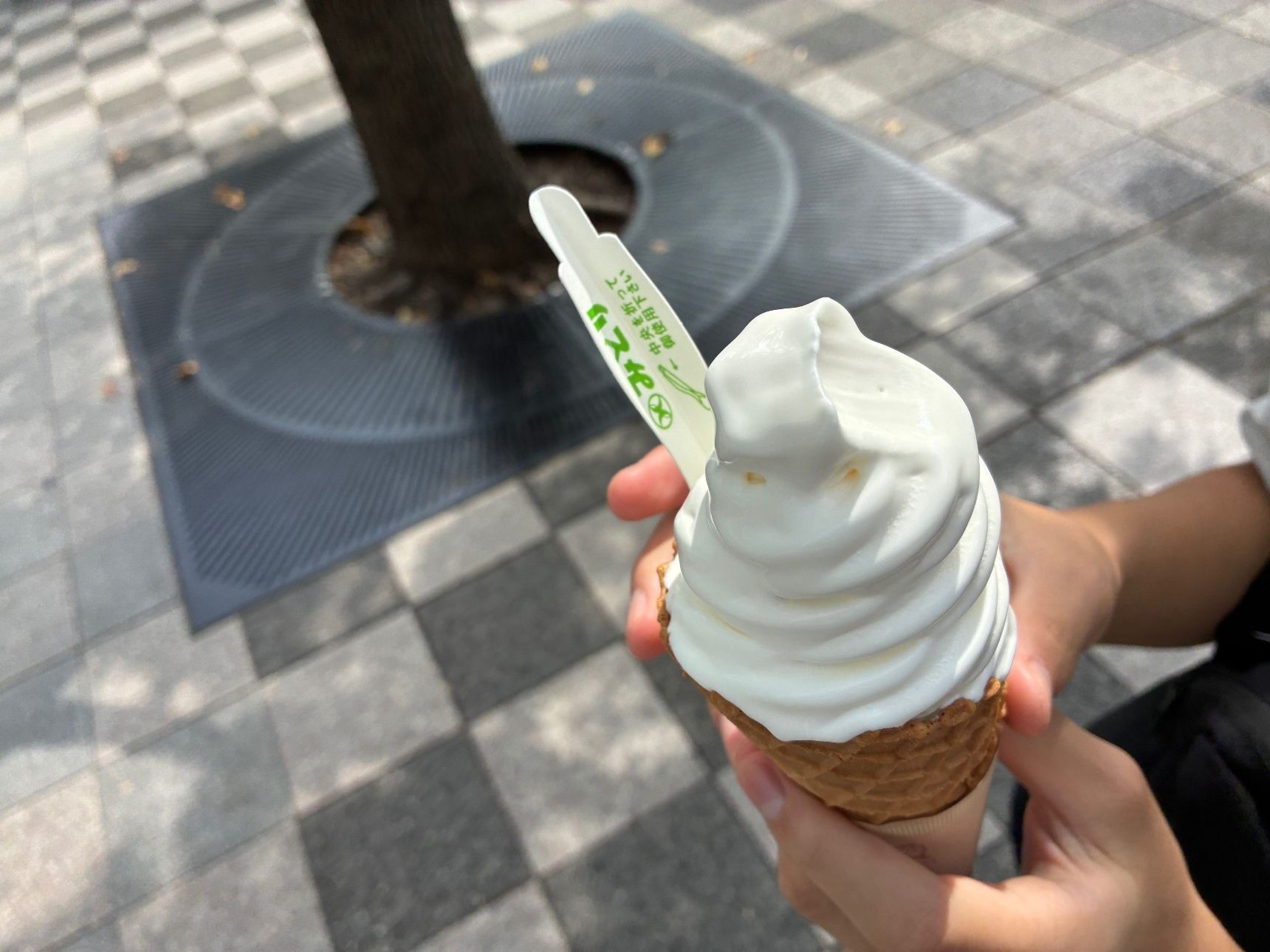 実食レポ