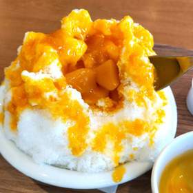 【ココスの夏限定】急げ！逆サギと噂のかき氷を実食！