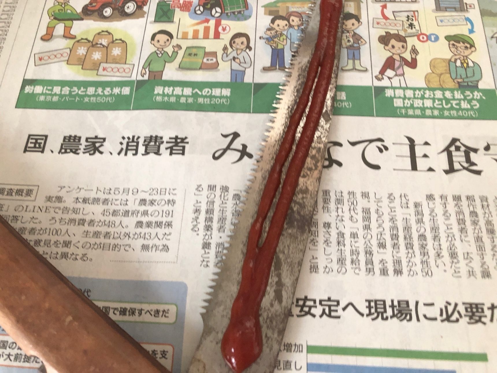 早速試してみました