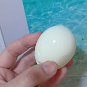 【100均商品】たまごサンド、もう買わない！「買うより作る派」の我が家！週末モーニング3点セット