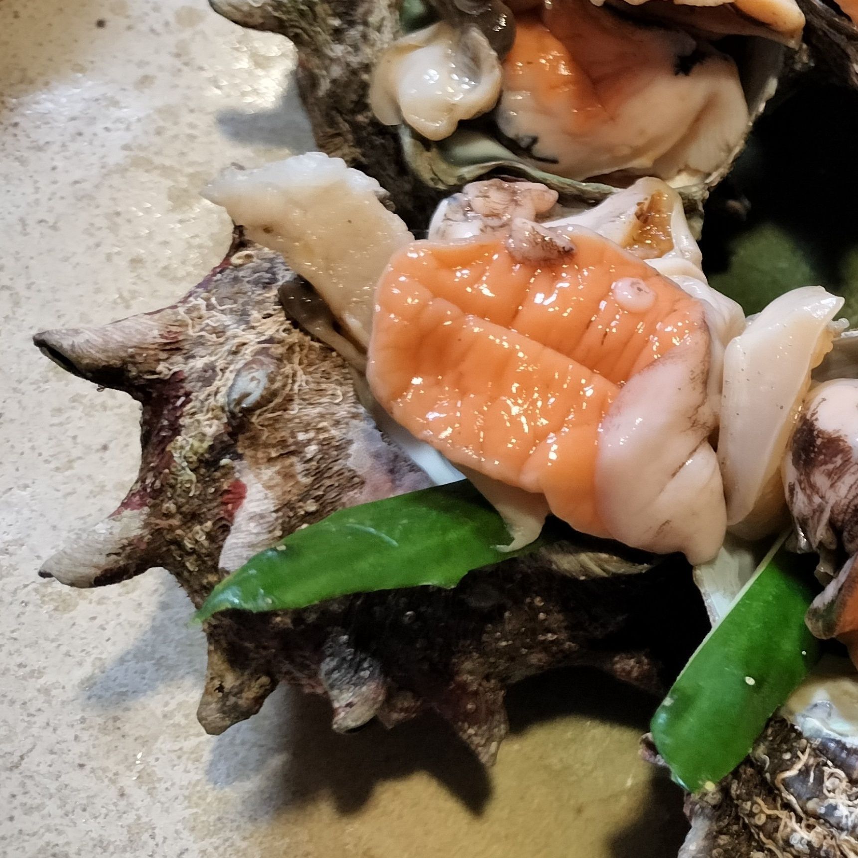 さざえの刺身の盛り付け方！大葉がなかったらコレで、殻の空洞に身が沈みません！