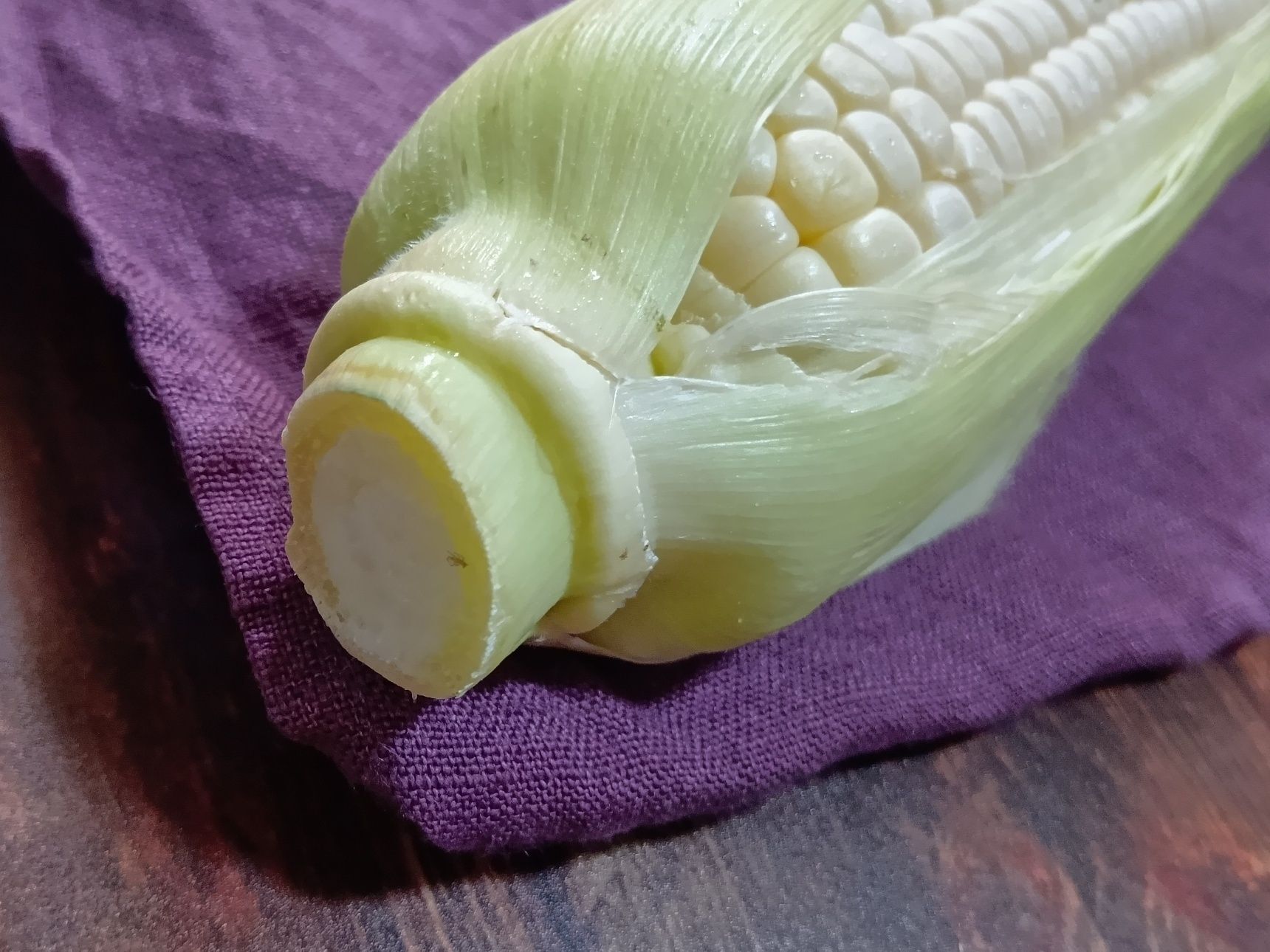 茎の切り口にも注目！