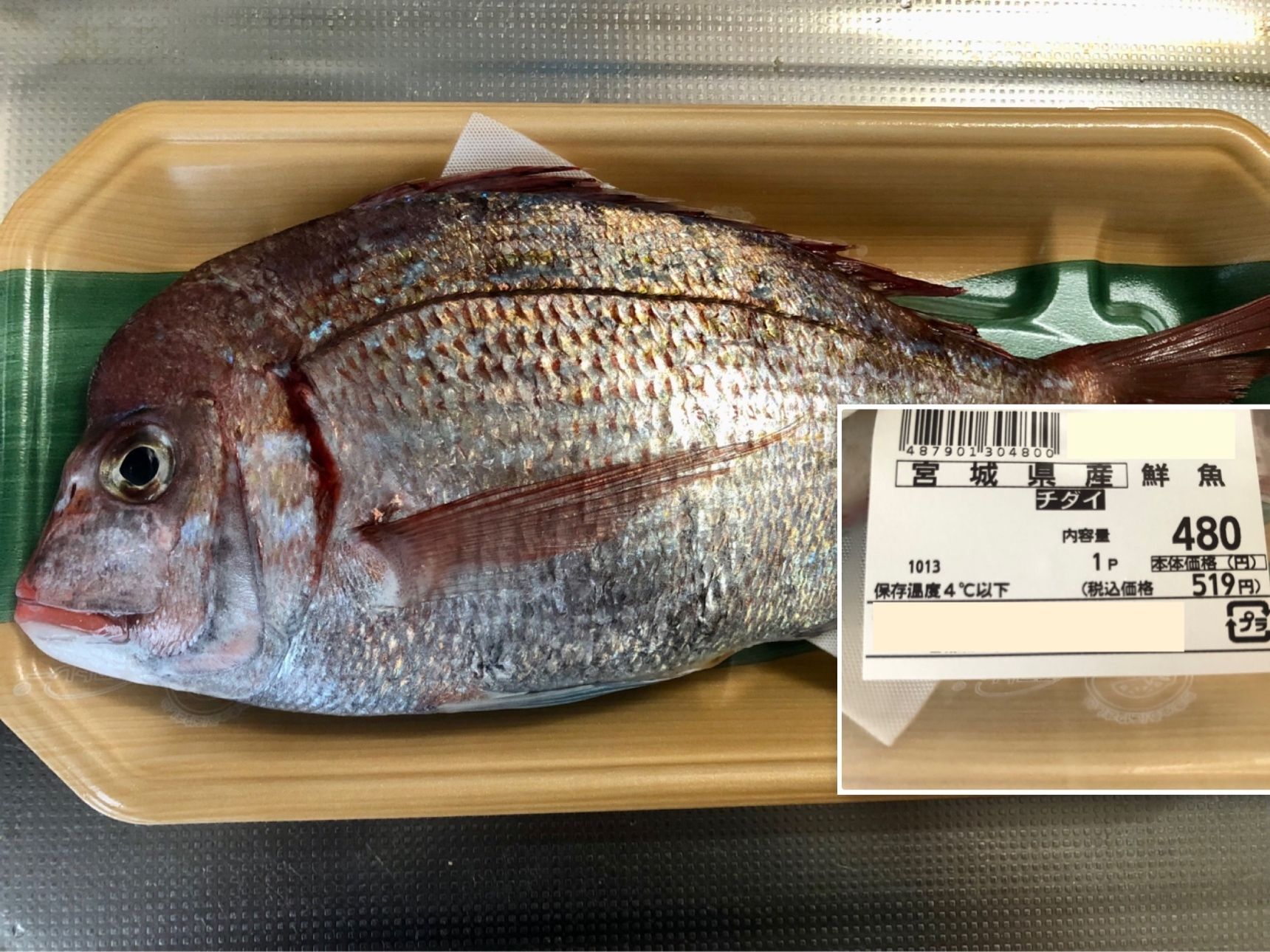 宮城の天然のチダイになります