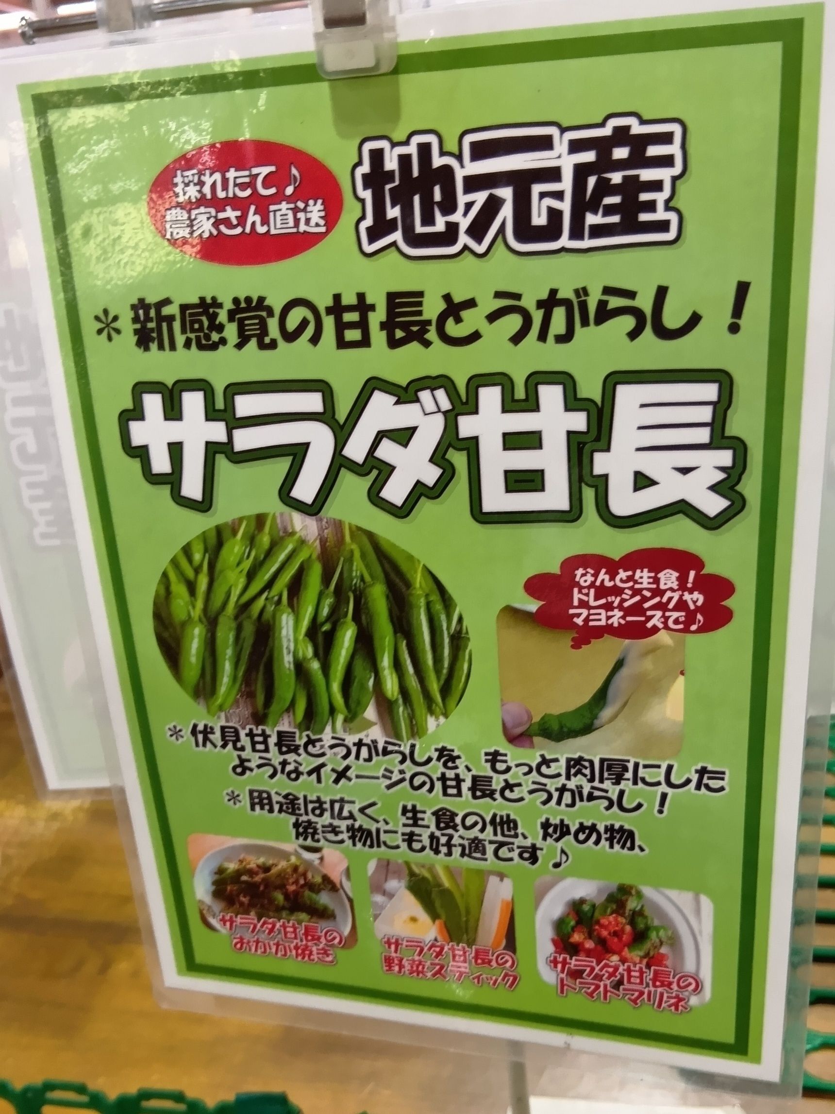 こちらも地元産！しかも、新感覚の甘長とうがらし！その名も『サラダ甘長』！