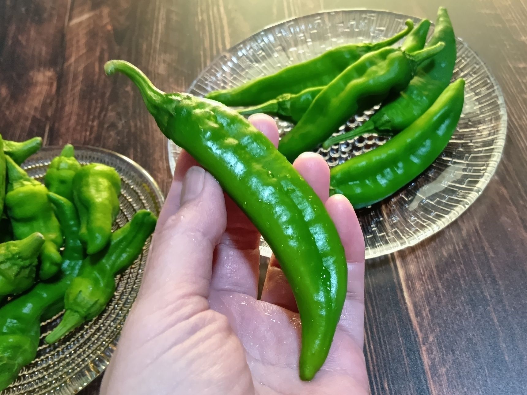 農家直送・地元産！朝どり万願寺とうがらし＆生で食べられるサラダ甘長？！おいしい一本の選び方