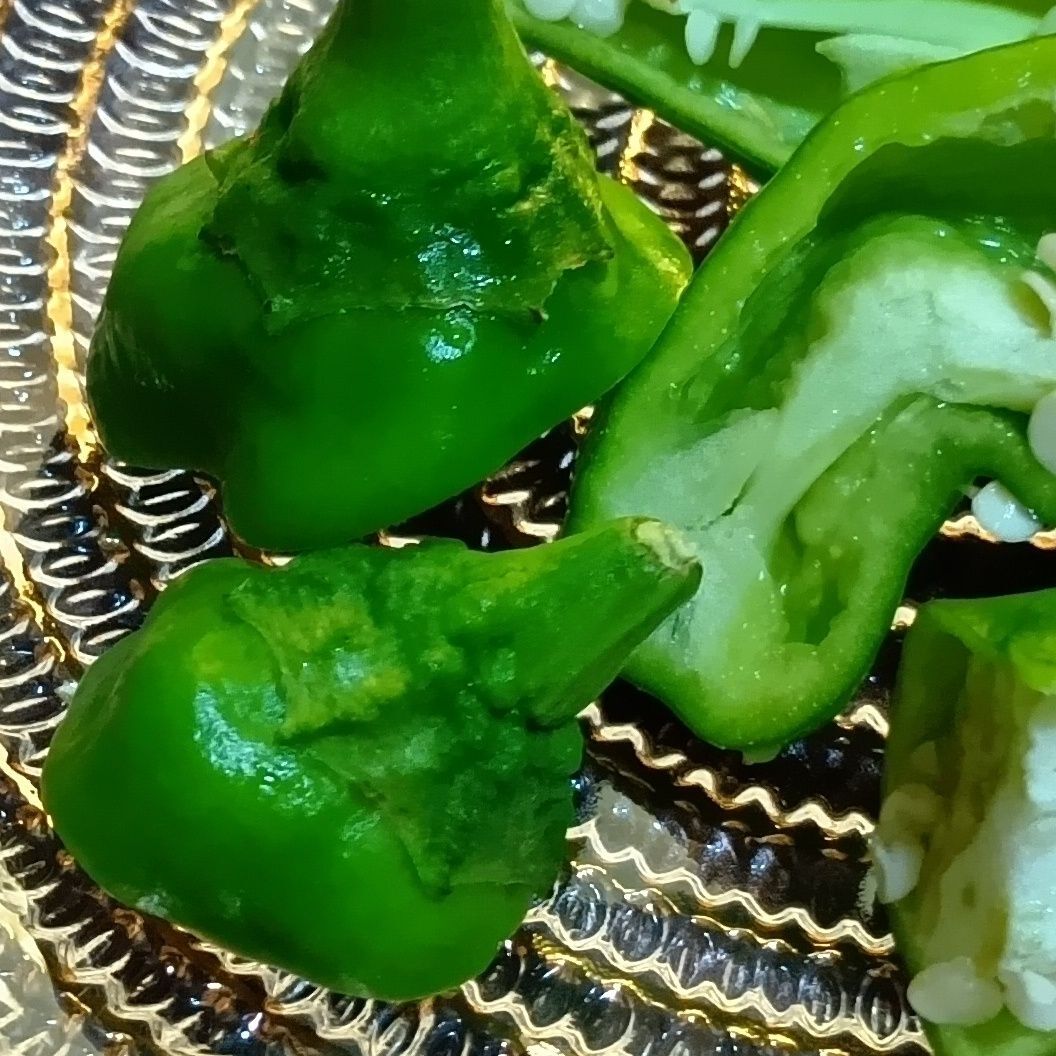 ヘタ（軸）の切り口が黒ずんだり、乾燥したりしていないでしょ！